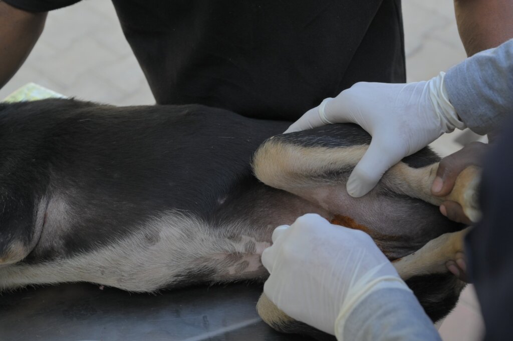 Wound cleaning