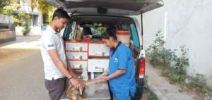 Treatment  by JCT Vet and Staff of canine