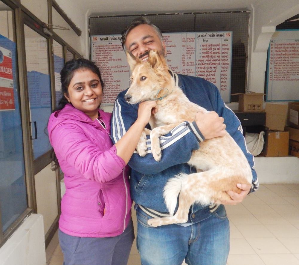 Animal Care on Wheels