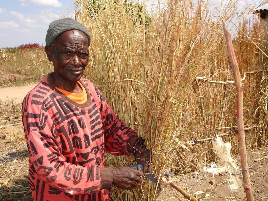 Help Prevent Disease & Feed the Hungry in Zimbabwe