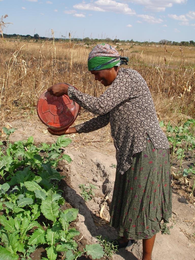 Help Prevent Disease & Feed the Hungry in Zimbabwe