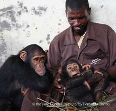 Jack and DouDou play with Jean Aime