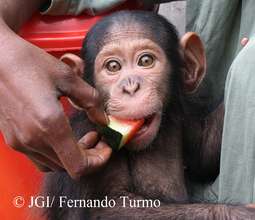Jeje enjoying his favorite food!