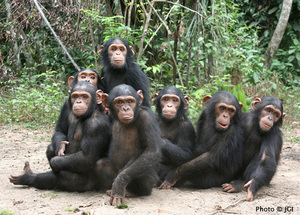 Kauka: Second from the right