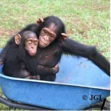Lemba and a friend