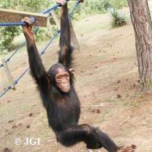 Lemba doing her exercises