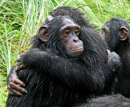 Luc bonding on the big day out in the forest