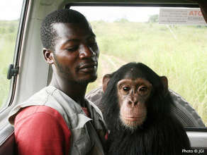 Luc's arrival to Tchimpounga with Keeper Serge