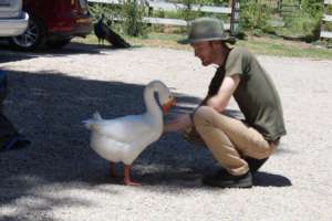 Henry and Sam