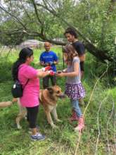 helping hands and paws
