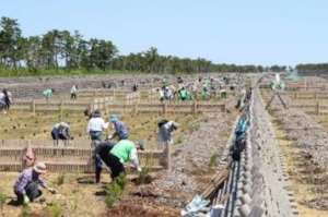Tree-planting festival in 2019 Fall