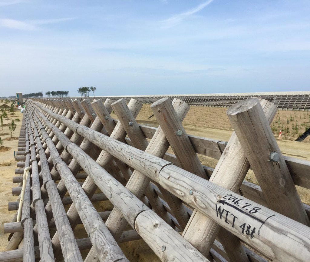 Social Entrepreneurs of Japan's Disaster-Hit Areas