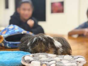 Animal-Assisted Therapy.