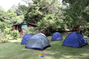 Therapy camp - Negros