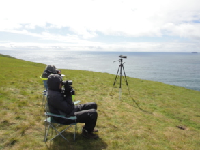 Volunteers making observations from land