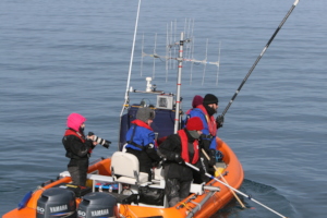 Volunteers record data from a boat