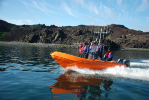 Acoustic Monitoring for Killer Whale Pods