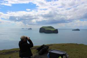 Surveying for Killer Whales From Land