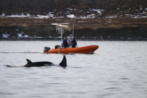 Conducting boat observations