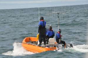 Researchers tracking a pod of killer whales