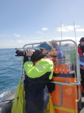 A volunteer takes photos for whale identification