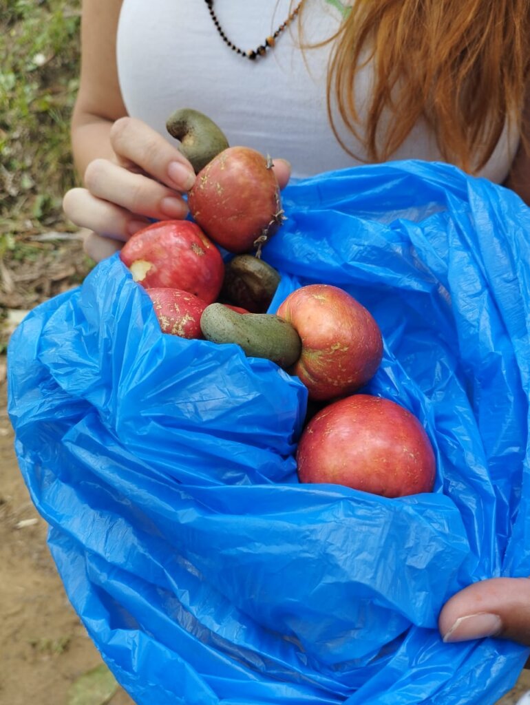 Anti-racist education for a violence-free future