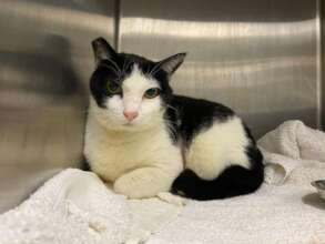 Pic 4 - Little Black & White