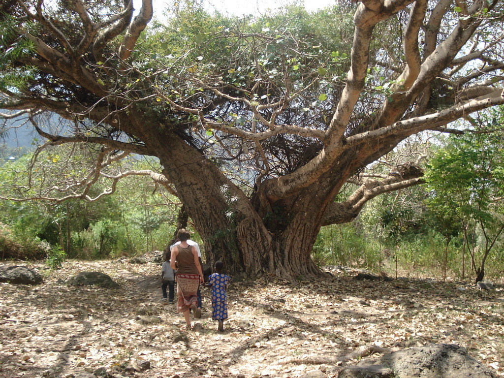 Organic Health Response for HIV/AIDS in Kenya