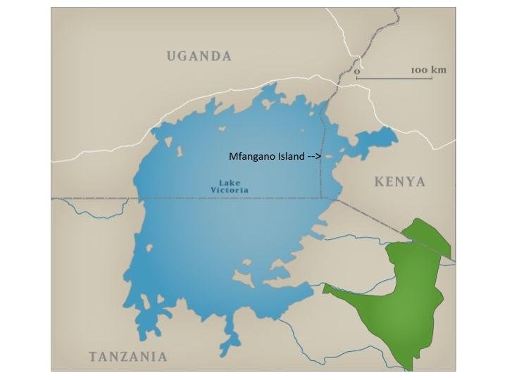 Organic Health Response for HIV/AIDS in Kenya