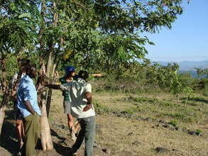 Future site of the organic farm on Mfangano Island