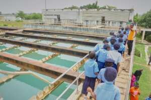 More of the facility your.