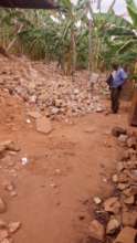 Kikukwe -surveying the destruction