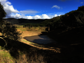 The reservoir, located near the oak forest.