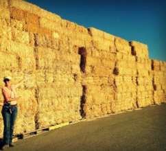 Our residents eat like horses