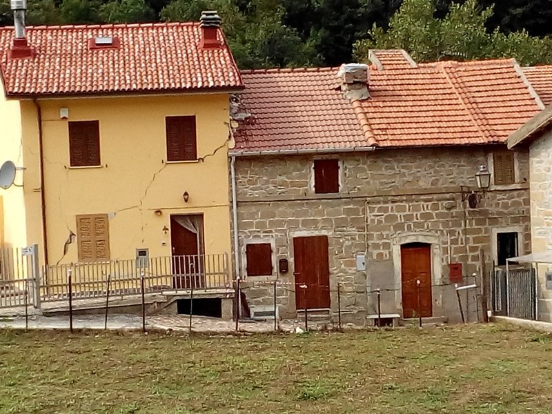 Minivans for Italy Earthquake relief activities