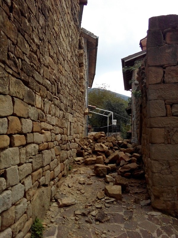 Minivans for Italy Earthquake relief activities