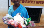 Provide food groceries to Neglected elders