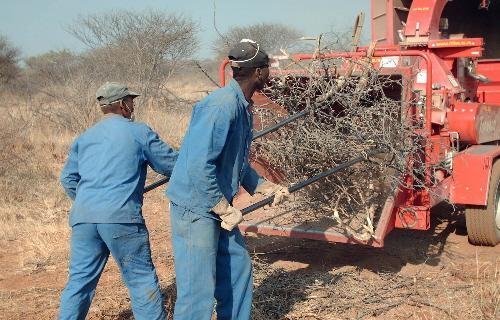 Reclaim 1000s of acres of grasslands in Namibia