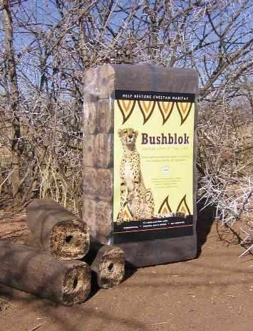 Reclaim 1000s of acres of grasslands in Namibia