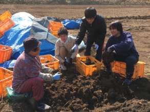 Volunteers and earthquake survivor in the field.