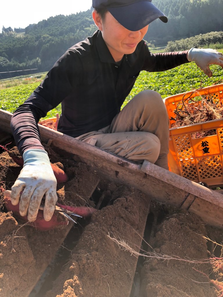 Escaping city-stress by volunteering.