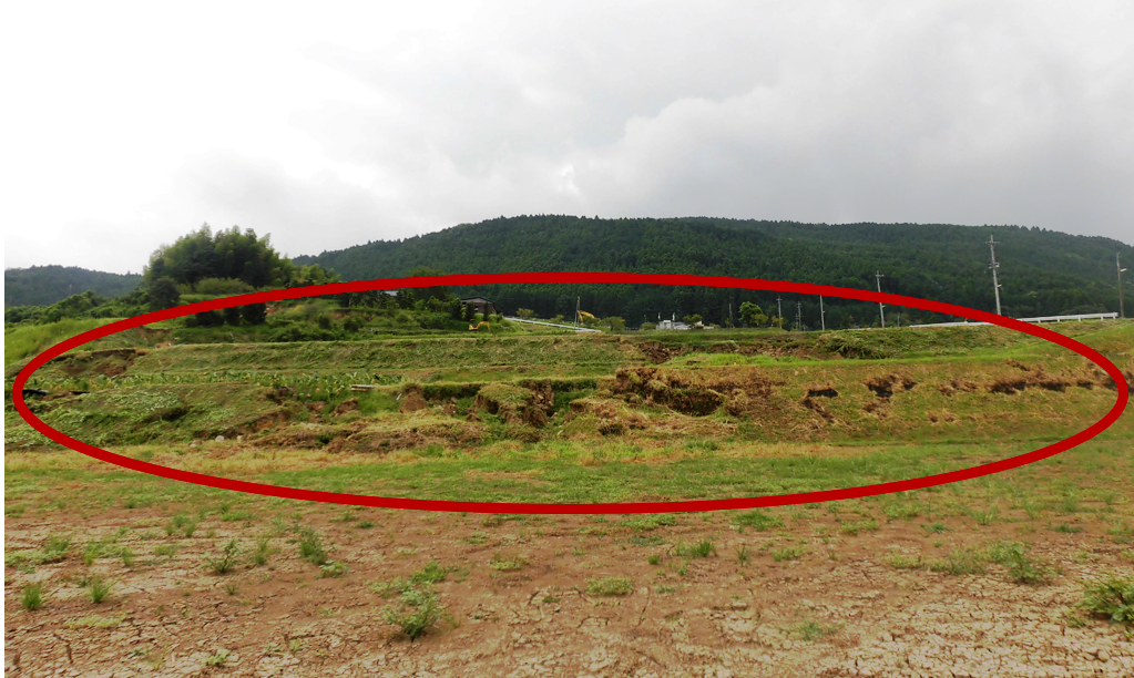 A crack in one of the paddy fields