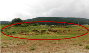 A crack in one of the paddy fields