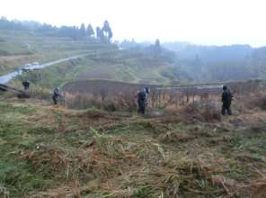Volunteers during the maintenance of the field.
