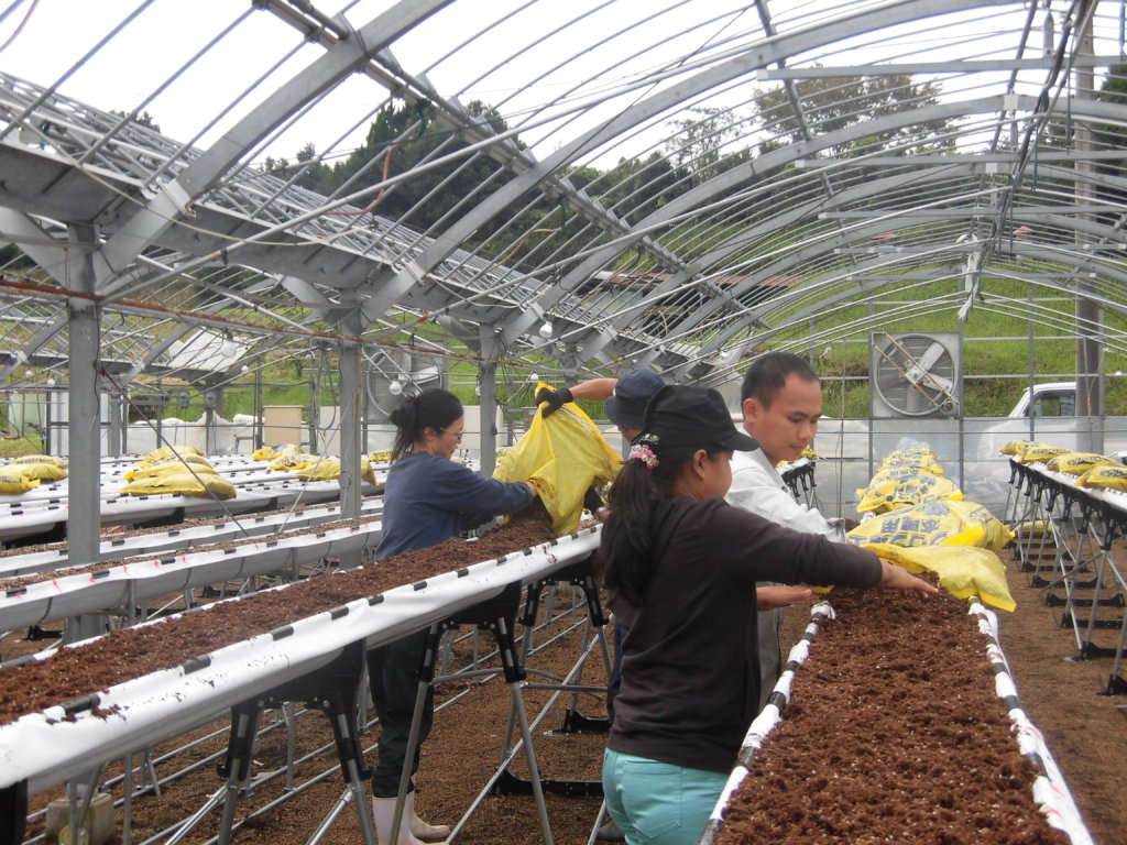 Community Revitalization Project in Kumamoto