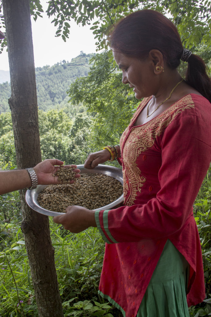 Livelihood Recovery for 252 Women in Nepal