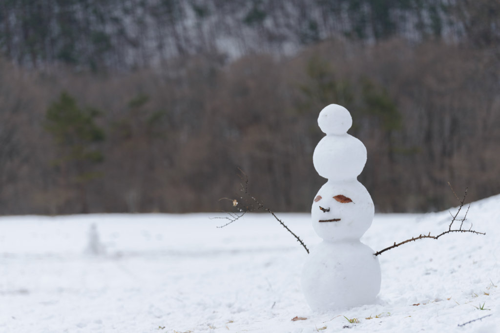 Creative Snowman