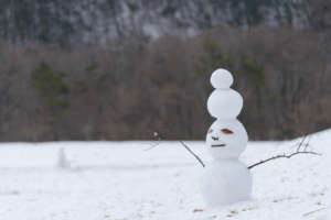 Creative Snowman