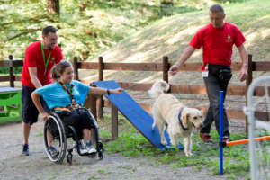Pet therapy