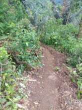 Patrol track along nature reserve